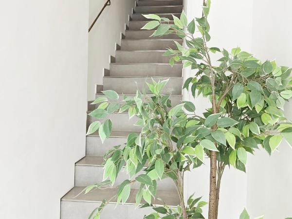 Cassis Loc - Chambre Meublée : photo 6 de la chambre studio - vue sur mer