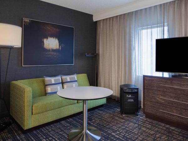 Dallas Marriott Suites Medical/Market Center : photo 4 de la chambre pure allergy-friendly, 1 bedroom suite, 2 double, sofa bed