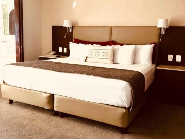 Hotel Guadalajara Plaza Ejecutivo : photo 2 de la chambre suite supérieure lit king-size