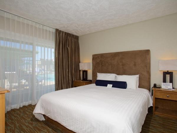 Surfer Beach Hotel : photo 9 de la chambre chambre lit king-size