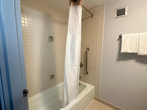 Super 8 by Wyndham Dallas Love Field Airport : photo 3 de la chambre chambre lit king-size pour personnes à mobilité réduite - baignoire avec barres d’appui - non-fumeurs