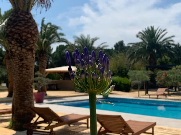 Tropic Hôtel : photo 2 de la chambre chambre double - vue sur jardin