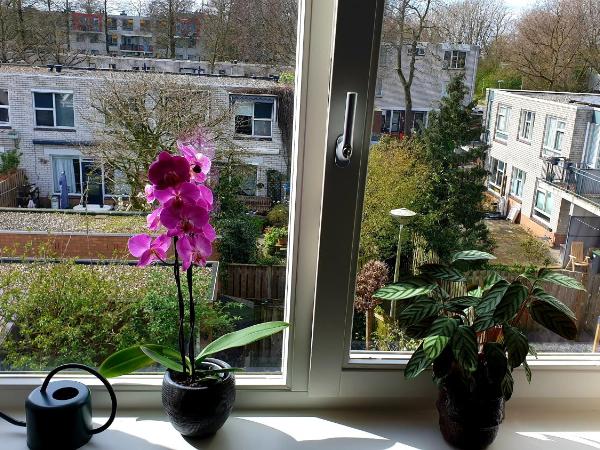 Amor Guesthouse : photo 7 de la chambre chambre double