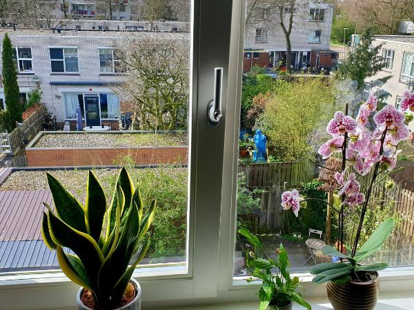 Amor Guesthouse : photo 9 de la chambre chambre double