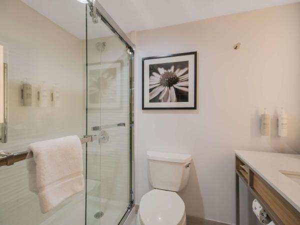 Hilton Garden Inn Oklahoma City Midtown : photo 5 de la chambre chambre lit king-size