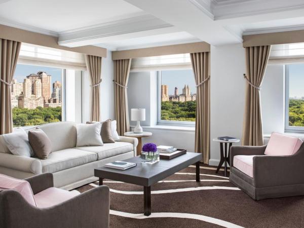 The Ritz-Carlton New York, Central Park : photo 6 de la chambre suite premiere avec accès au salon club - vue sur parc