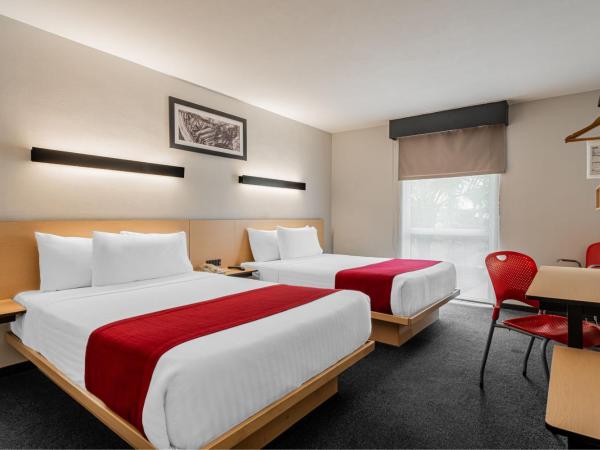City Express by Marriott Queretaro Jurica : photo 4 de la chambre chambre double avec 2 lits doubles
