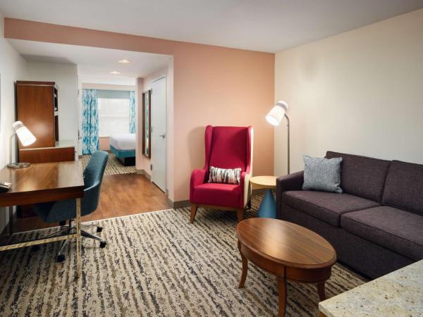 Hilton Garden Inn Atlanta Midtown : photo 3 de la chambre suite junior lit king-size avec canapé-lit