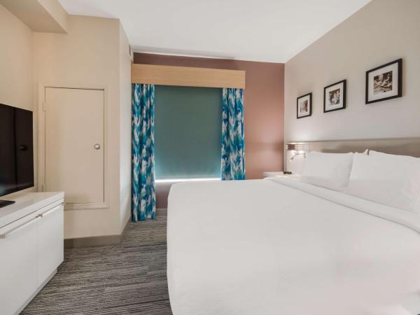 Hilton Garden Inn Oklahoma City Midtown : photo 4 de la chambre chambre lit king-size avec canapé-lit - non-fumeurs