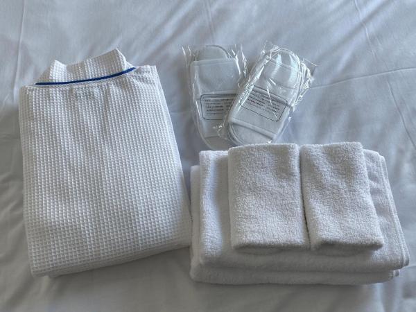 B/C APARTMENT 浅草花園通 レンタカー付ホテル : photo 6 de la chambre superior apartment - no pets allowed (no rental car)