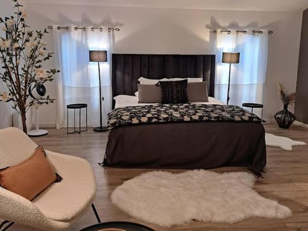 Hôtel Le Patio de Sophie : photo 1 de la chambre chambre lit king-size