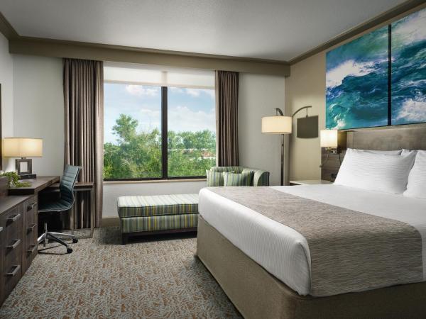 Buena Vista Suites Orlando : photo 3 de la chambre suite 1 chambre lit king-size avec canapé-lit