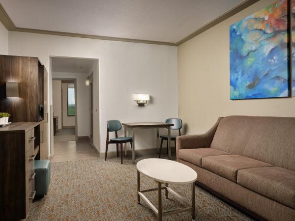 Buena Vista Suites Orlando : photo 4 de la chambre suite lit king-size