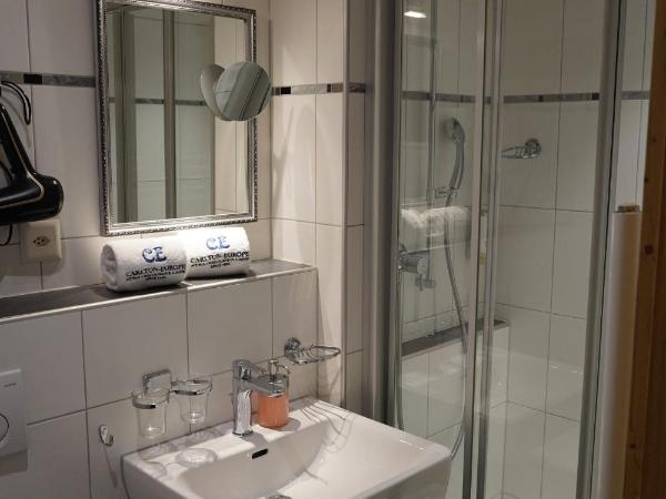 Carlton-Europe Vintage Adults Hotel : photo 5 de la chambre chambre simple classique