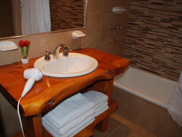 Apart Altos Del Nahuel : photo 9 de la chambre appartement 1 chambre - vue sur lac