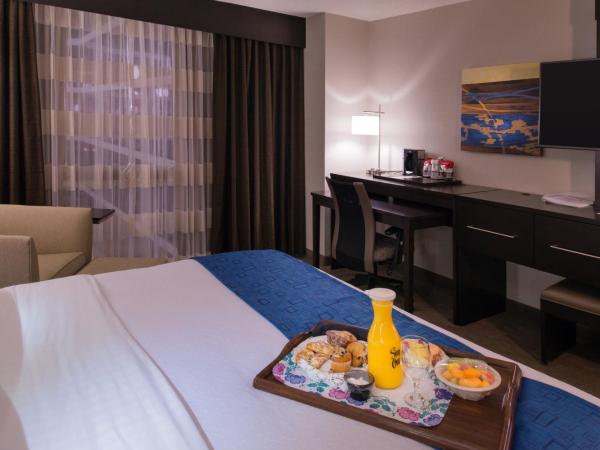 Holiday Inn St Louis Downtown/Convention Center, an IHG Hotel : photo 2 de la chambre queen studio - disability access/roll-in shower/non-smoking