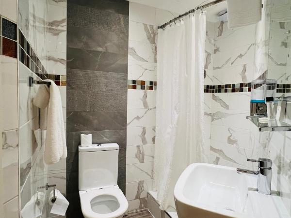 Cheshire Hotel Central London : photo 7 de la chambre chambre simple