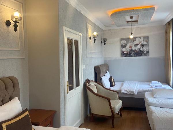 Berce Hotel Istanbul : photo 6 de la chambre appartement - annexe