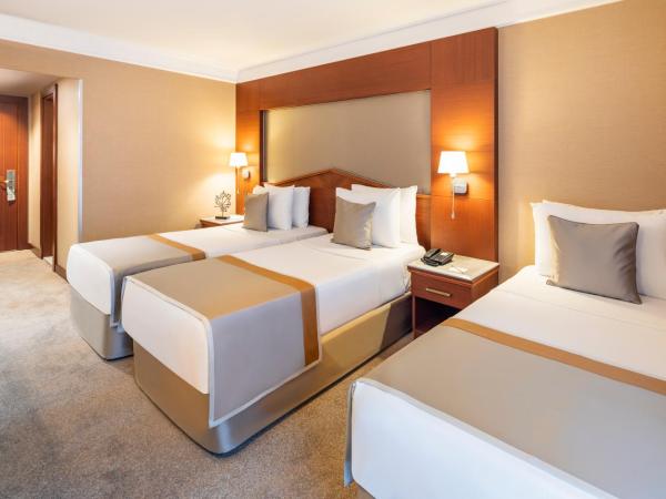 Vicenza Hotel : photo 9 de la chambre chambre triple