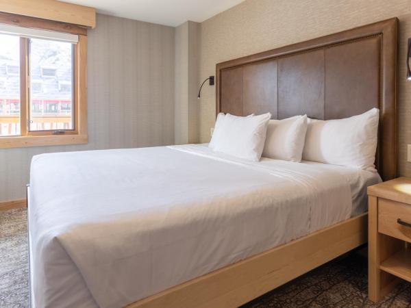 Moose Hotel and Suites : photo 9 de la chambre suite 1 chambre lit king-size