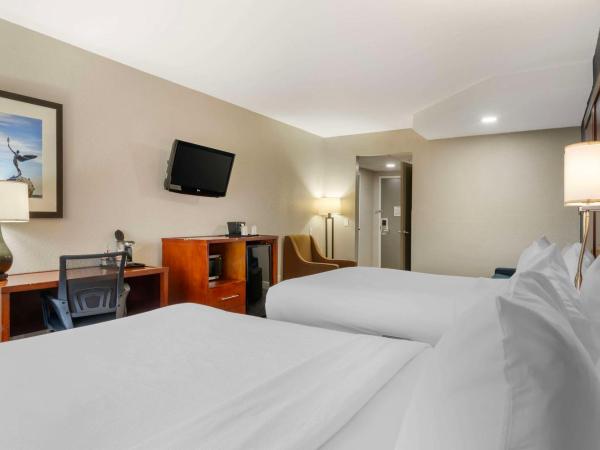 Comfort Suites West Jacksonville : photo 5 de la chambre suite 2 lits queen-size - non-fumeurs