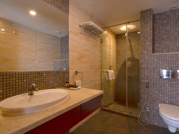 Celesta - Kolkata : photo 2 de la chambre chambre double ou lits jumeaux supérieure avec vue sur ville