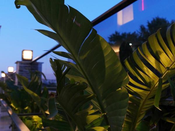 KRABİ APART : photo 3 de la chambre chambre double standard