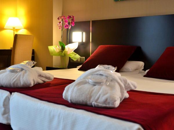 Clement Barajas : photo 6 de la chambre chambre double ou lits jumeaux supérieure