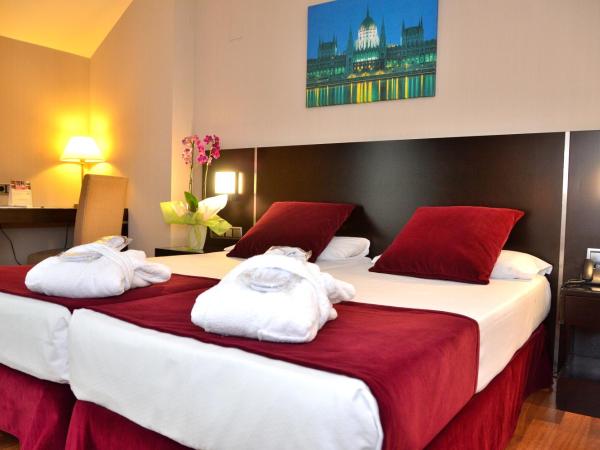 Clement Barajas : photo 2 de la chambre chambre double ou lits jumeaux