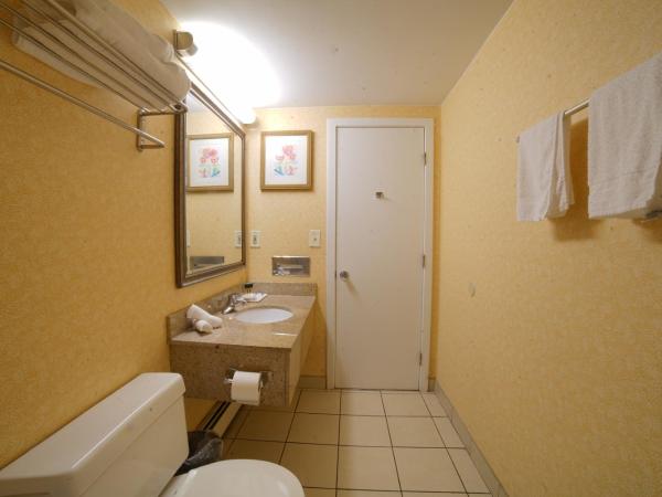 Hotel Boston : photo 10 de la chambre chambre double standard avec 2 lits doubles