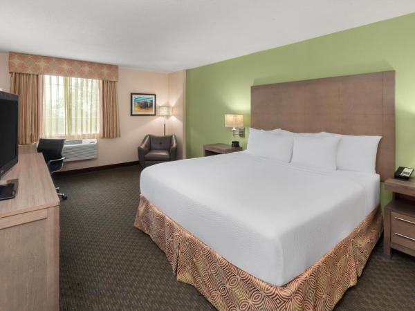 La Quinta by Wyndham San Antonio Medical Ctr. NW : photo 6 de la chambre chambre lit king-size deluxe