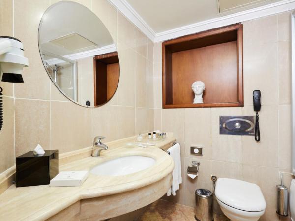 Dedeman Istanbul : photo 3 de la chambre chambre simple supérieure - accès gratuit au spa