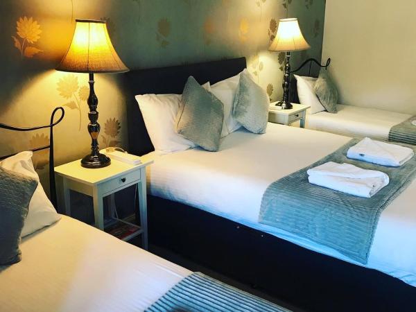 Ardenlee Guest House : photo 1 de la chambre chambre quadruple avec douche