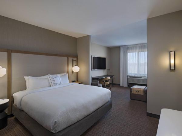 Fairfield Inn & Suites by Marriott Colorado Springs East : photo 7 de la chambre suite lit king-size et canapé-lit