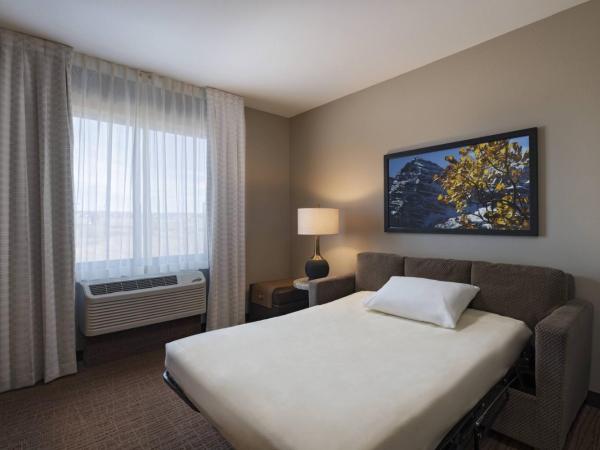 Fairfield Inn & Suites by Marriott Colorado Springs East : photo 8 de la chambre suite lit king-size et canapé-lit