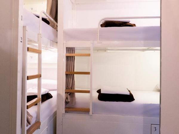 Black Swan Hostel Granada : photo 5 de la chambre lit dans dortoir mixte de 6 lits