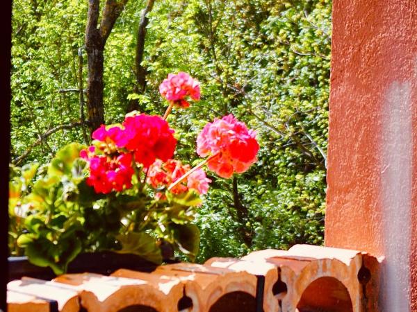 Podere Boschetto R&B : photo 9 de la chambre grande chambre double