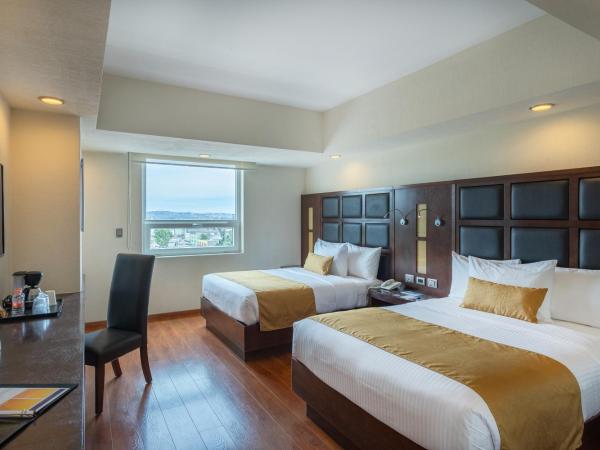 Comfort Inn Puebla Centro Hist rico : photo 3 de la chambre chambre avec 2 grands lits queen-size 
