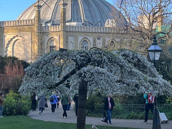 Cozymodrenroom : photo 7 de la chambre chambre double avec salle de bains privative