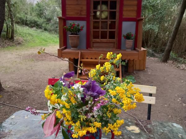 La roulotte du petit paradis : photo 1 de la chambre tente