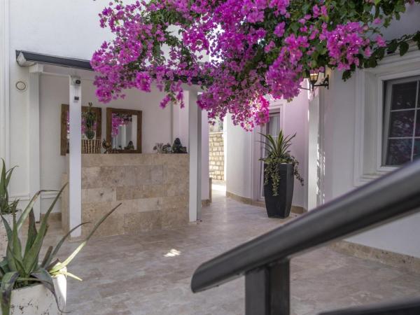 Noa Suite Hotel Only Adult : photo 3 de la chambre appartement