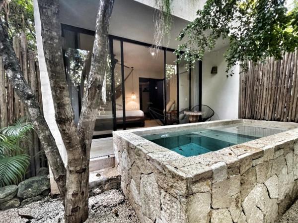 Una Vida : photo 1 de la chambre chambre tropicale avec petite piscine et jardin privé