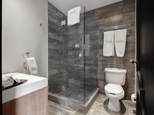 Pug Seal Polanco Allan Poe : photo 4 de la chambre suite exécutive 1 lit