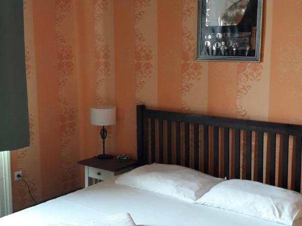 Hotel Goldene Spinne : photo 5 de la chambre chambre double