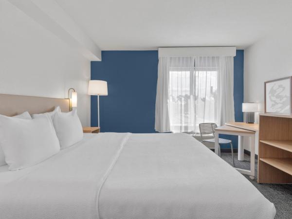 Spark by Hilton Orlando near SeaWorld : photo 5 de la chambre chambre lit king-size avec baignoire - adaptée aux malentendants et personnes à mobilité réduite