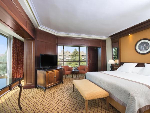 Melia Barajas : photo 5 de la chambre suite