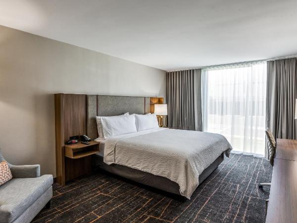 Holiday Inn Dallas Market Ctr Love Field, an IHG Hotel : photo 2 de la chambre chambre lit king-size standard