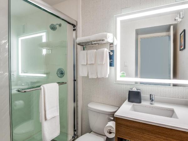 Holiday Inn Dallas Market Ctr Love Field, an IHG Hotel : photo 5 de la chambre chambre lit king-size standard