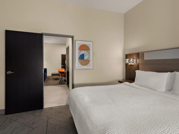 Holiday Inn Express Hotel & Suites Oklahoma City Northwest, an IHG Hotel : photo 2 de la chambre suite lit king-size avec canapé-lit