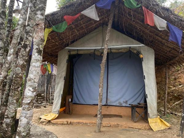 Back To Nature : photo 2 de la chambre chambre double – vue sur lac